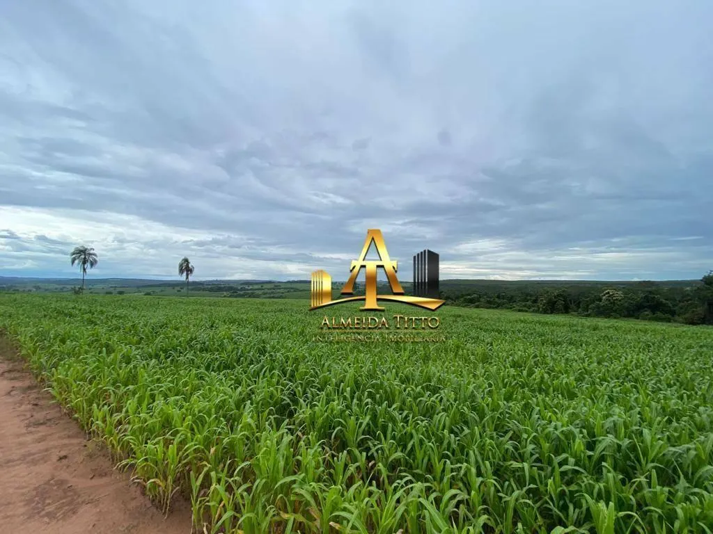 Fazenda à venda de 513 ha em Ribeirão Bonito, SP, Brasil