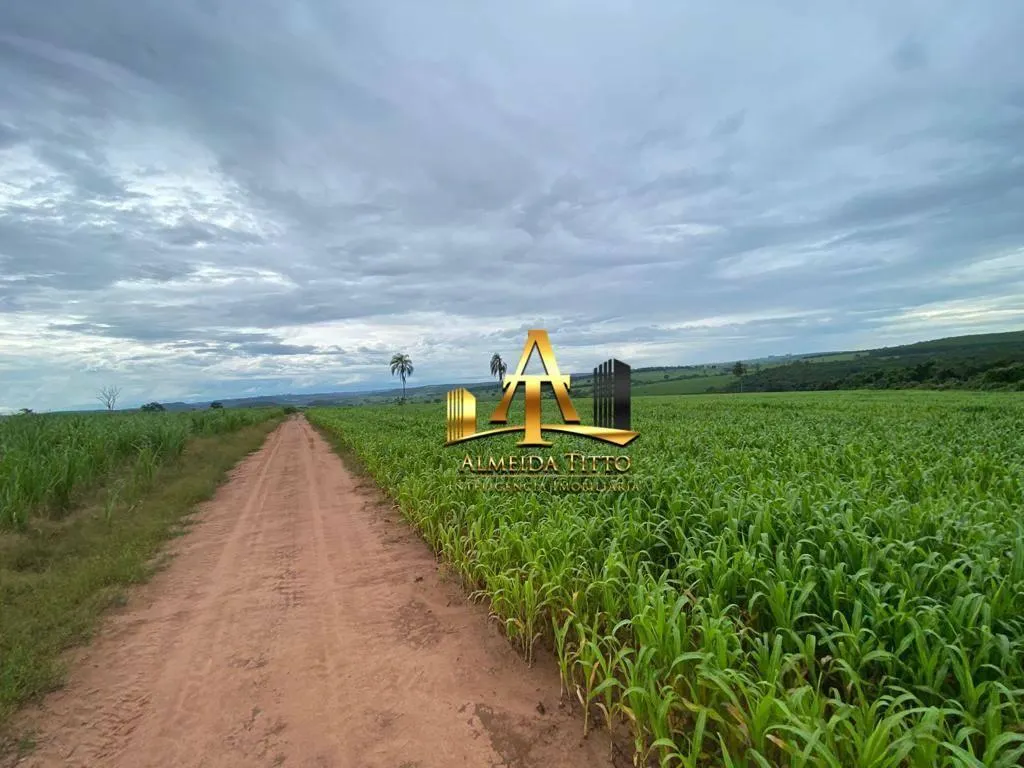 Fazenda à venda de 513 ha em Ribeirão Bonito, SP, Brasil