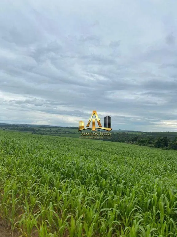Fazenda à venda de 513 ha em Ribeirão Bonito, SP, Brasil