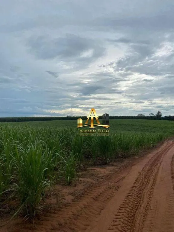 Fazenda à venda de 513 ha em Ribeirão Bonito, SP, Brasil