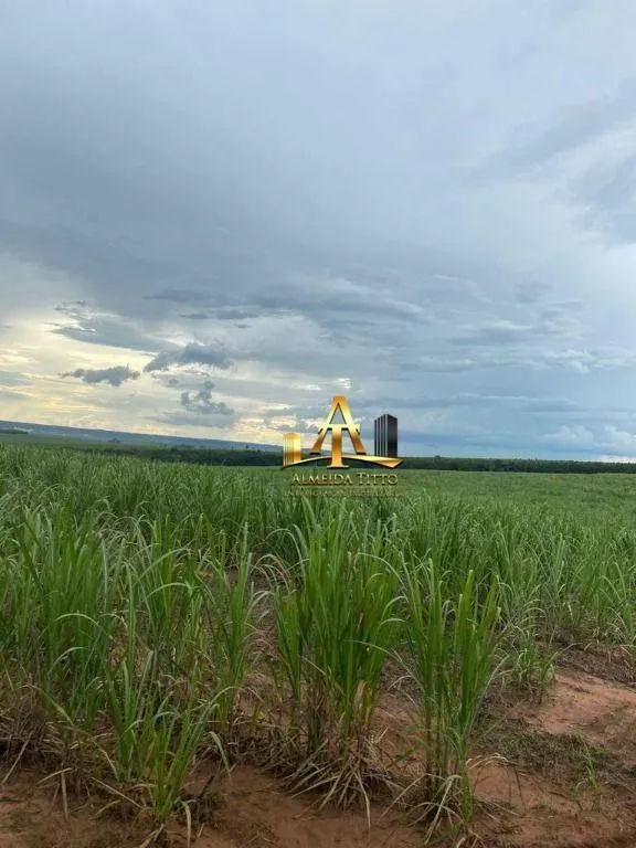 Fazenda à venda de 513 ha em Ribeirão Bonito, SP, Brasil