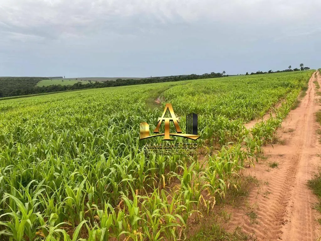 Fazenda à venda de 513 ha em Ribeirão Bonito, SP, Brasil