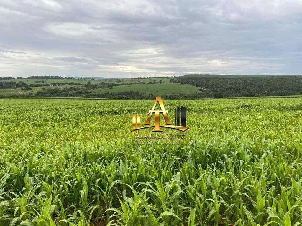 Fazenda à venda de 513 ha em Ribeirão Bonito, SP, Brasil