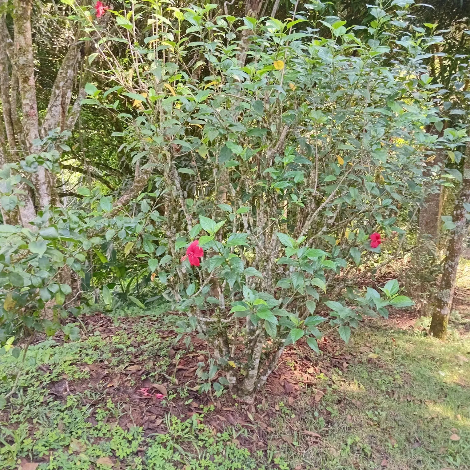 Chácara à venda de 2.900 m² em São José dos Campos, SP, Brasil