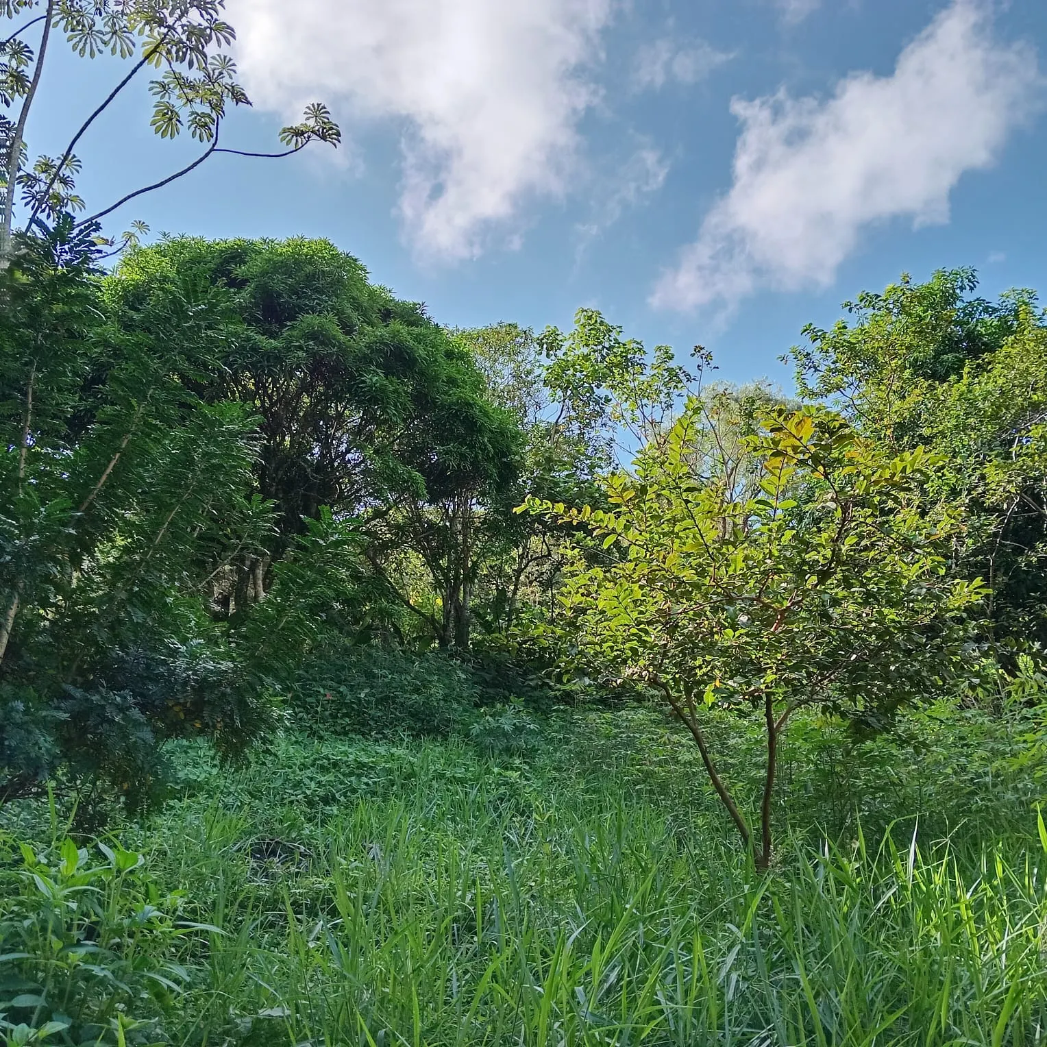 Chácara à venda de 2.900 m² em São José dos Campos, SP, Brasil