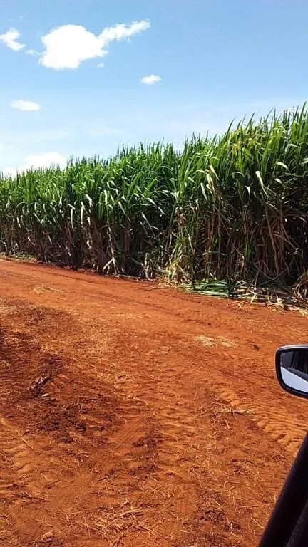 Fazenda à venda de 773 ha em Ribeirão Preto, SP, Brasil
