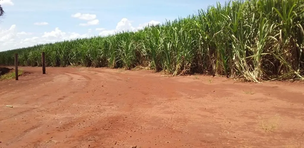 Fazenda à venda de 773 ha em Ribeirão Preto, SP, Brasil