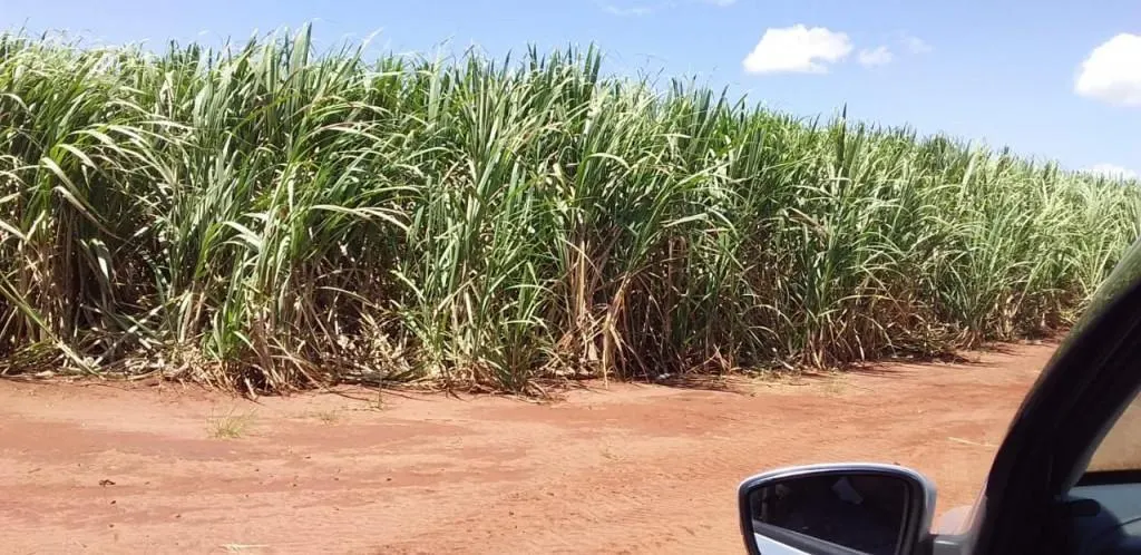 Fazenda à venda de 773 ha em Ribeirão Preto, SP, Brasil