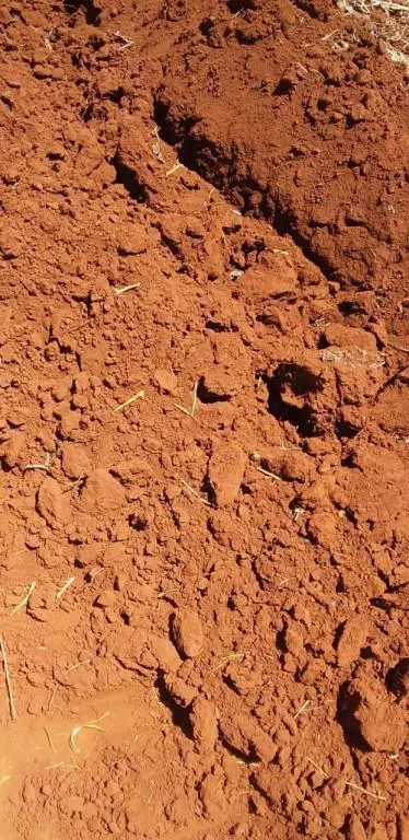 Fazenda à venda de 773 ha em Ribeirão Preto, SP, Brasil