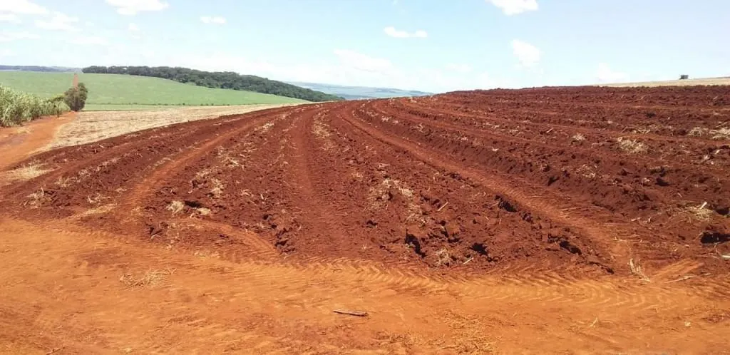 Fazenda à venda de 773 ha em Ribeirão Preto, SP, Brasil