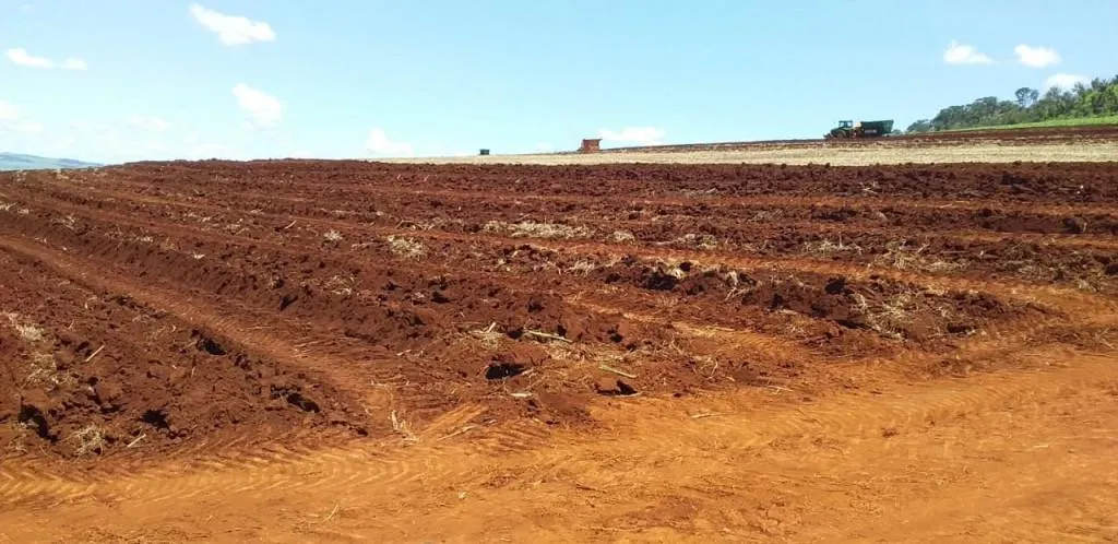 Fazenda à venda de 773 ha em Ribeirão Preto, SP, Brasil