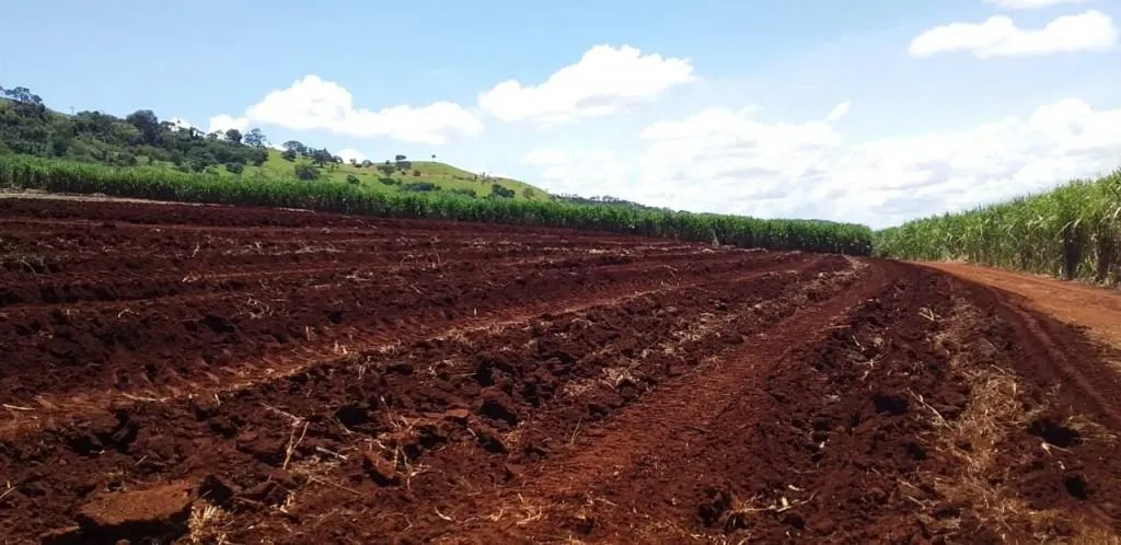 Fazenda à venda de 773 ha em Ribeirão Preto, SP, Brasil