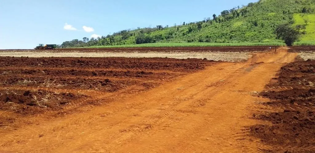Fazenda à venda de 773 ha em Ribeirão Preto, SP, Brasil