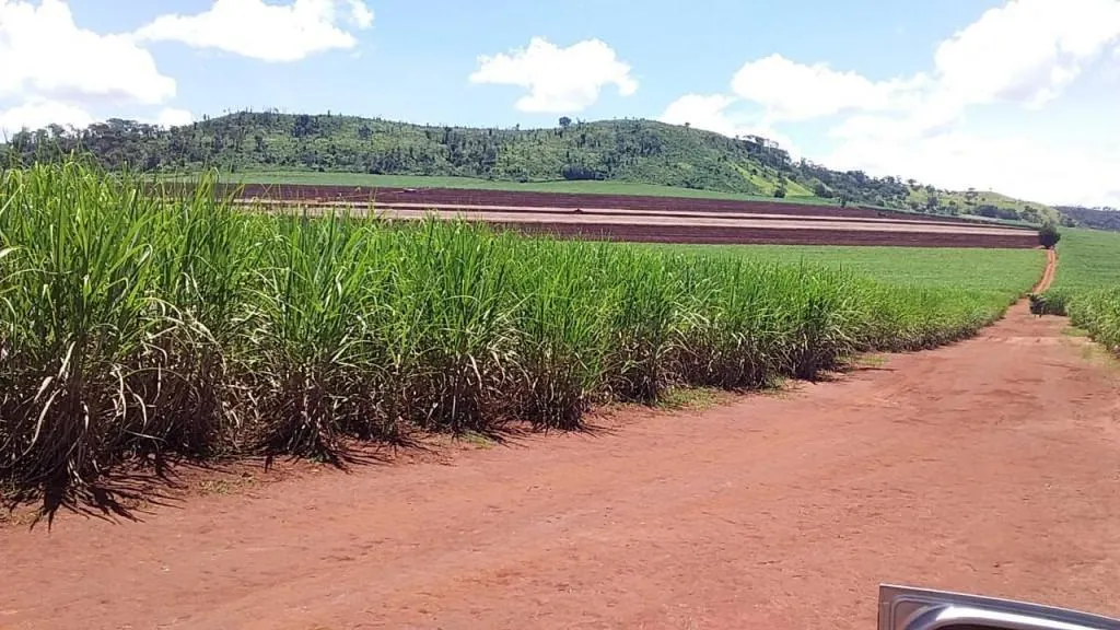 Fazenda à venda de 773 ha em Ribeirão Preto, SP, Brasil