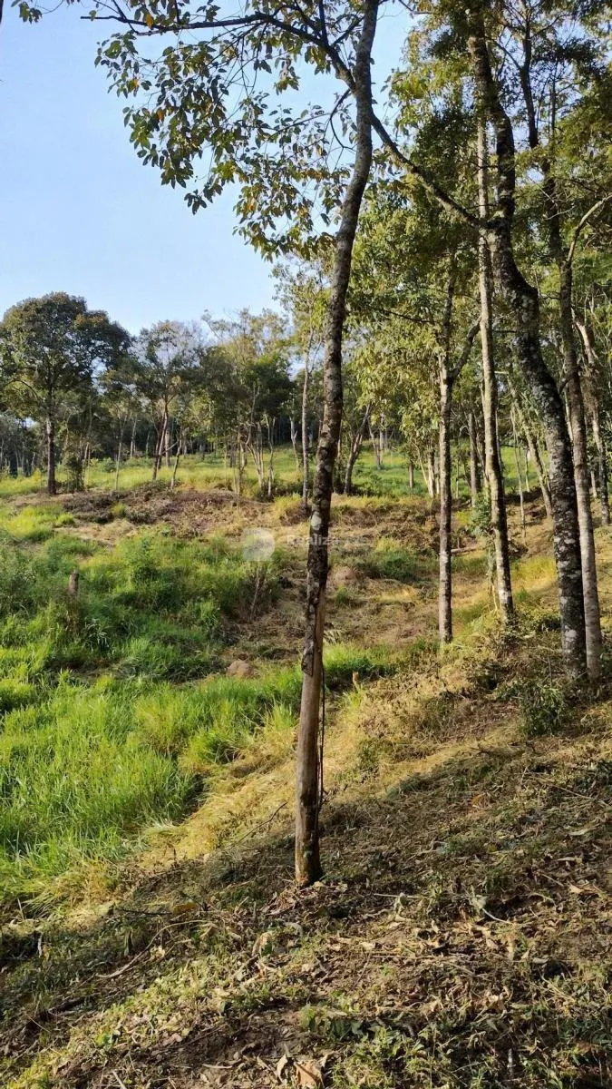 Sítio à venda de 48 ha em Guaratinguetá, SP, Brasil