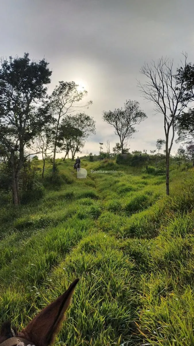 Sítio à venda de 48 ha em Guaratinguetá, SP, Brasil