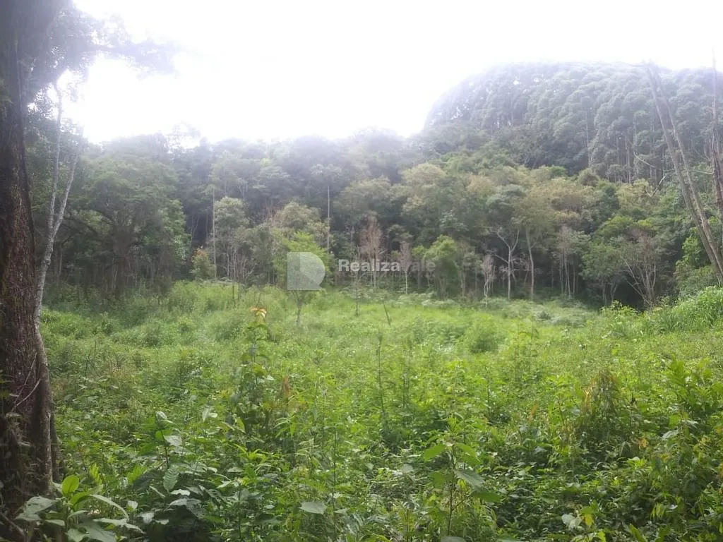 Sítio à venda de 48 ha em Guaratinguetá, SP, Brasil