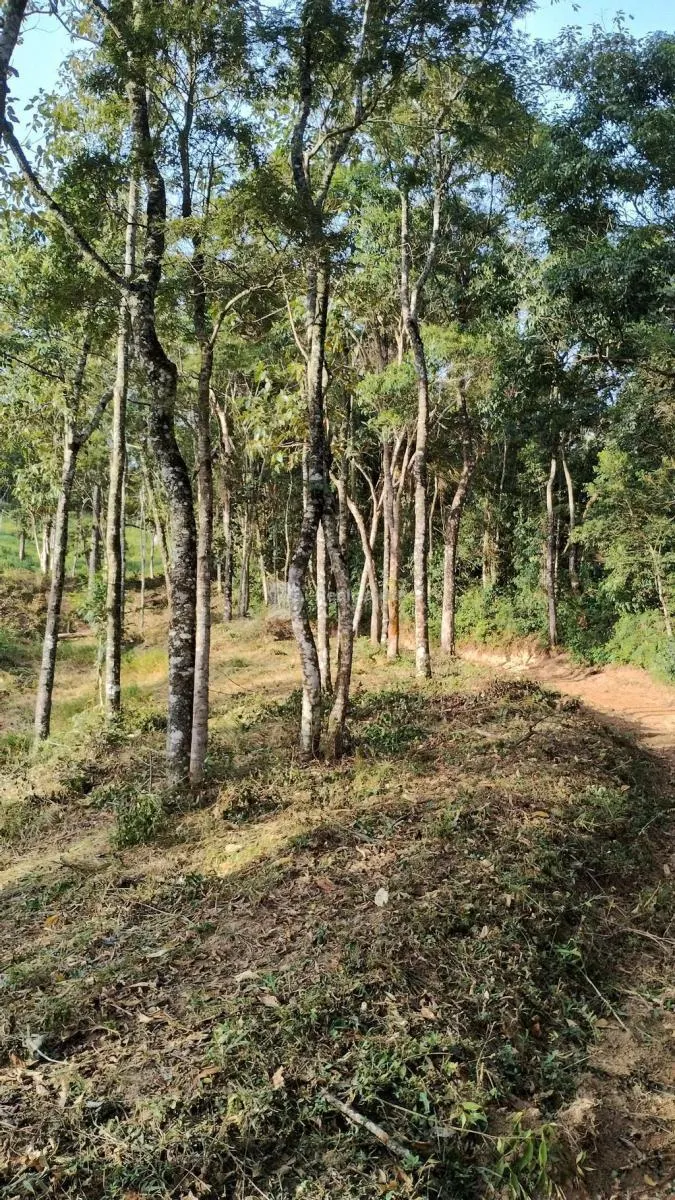 Sítio à venda de 48 ha em Guaratinguetá, SP, Brasil