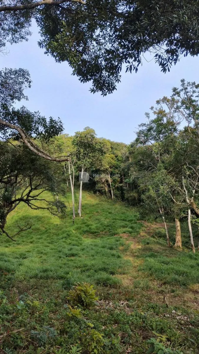 Sítio à venda de 48 ha em Guaratinguetá, SP, Brasil