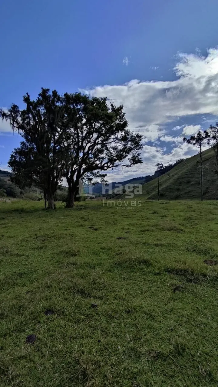 Plot for sale of 25 acres in Angelina, SC, Brazil