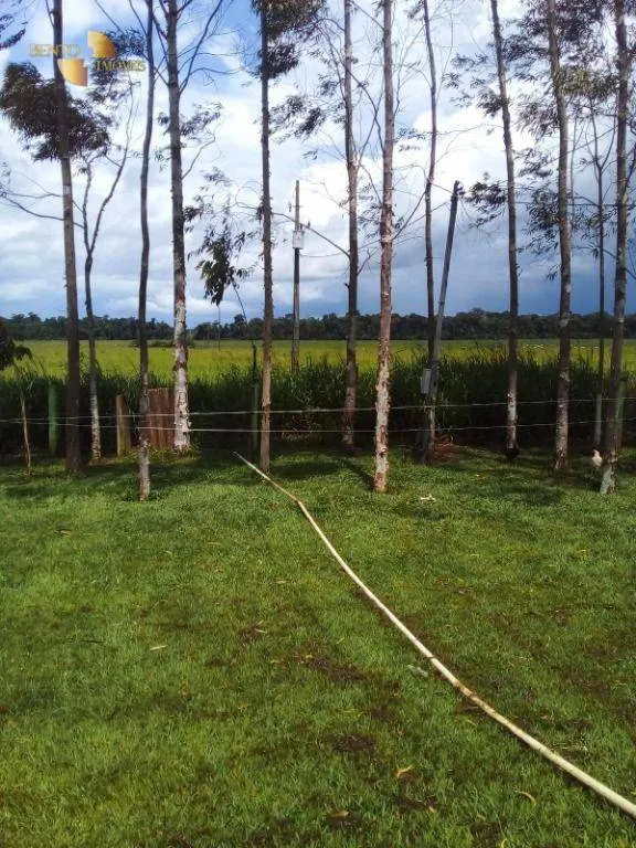 Fazenda à venda de 1.452 ha em Brasnorte, MT, Brasil