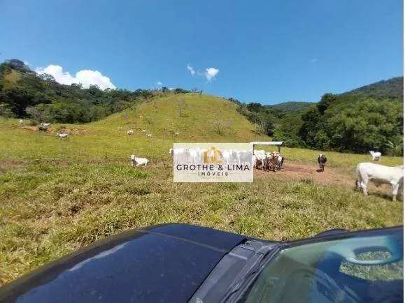 Fazenda à venda de 484 ha em Roseira, SP, Brasil