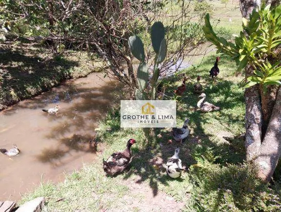 Fazenda à venda de 484 ha em Roseira, SP, Brasil