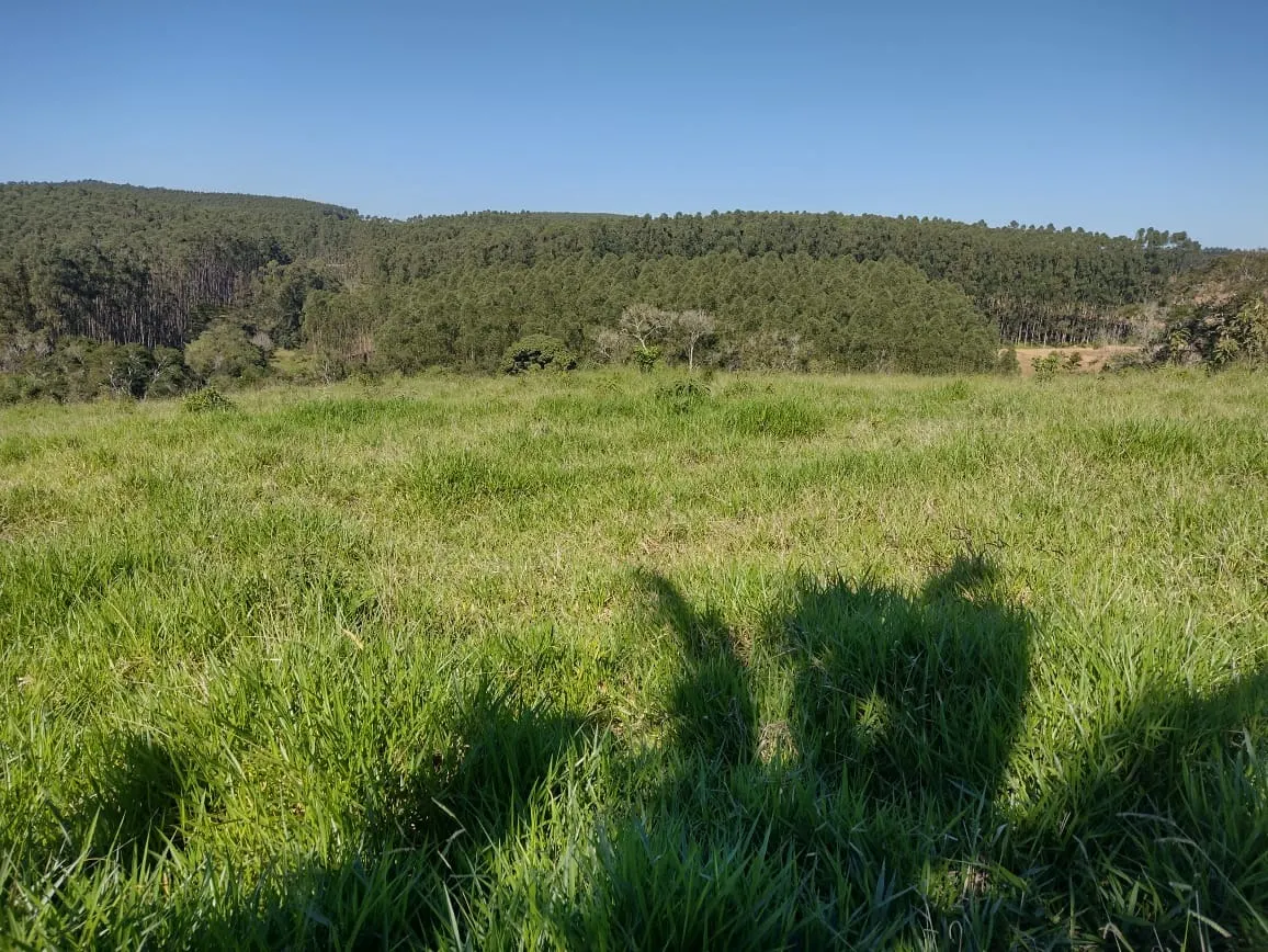 Sítio à venda de 12 ha em Itapetininga, SP, Brasil