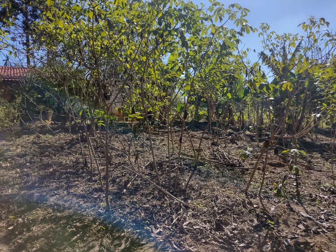Sítio à venda de 12 ha em Itapetininga, SP, Brasil