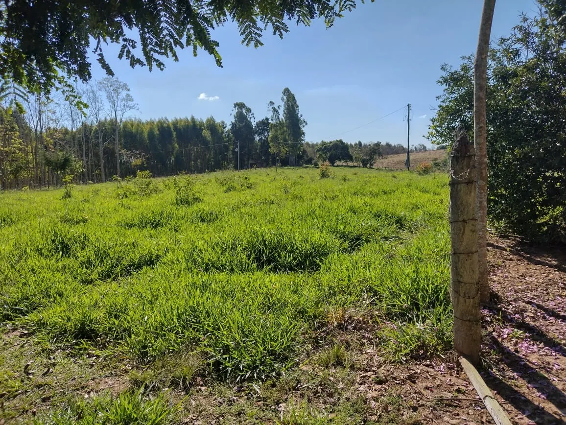 Sítio à venda de 12 ha em Itapetininga, SP, Brasil