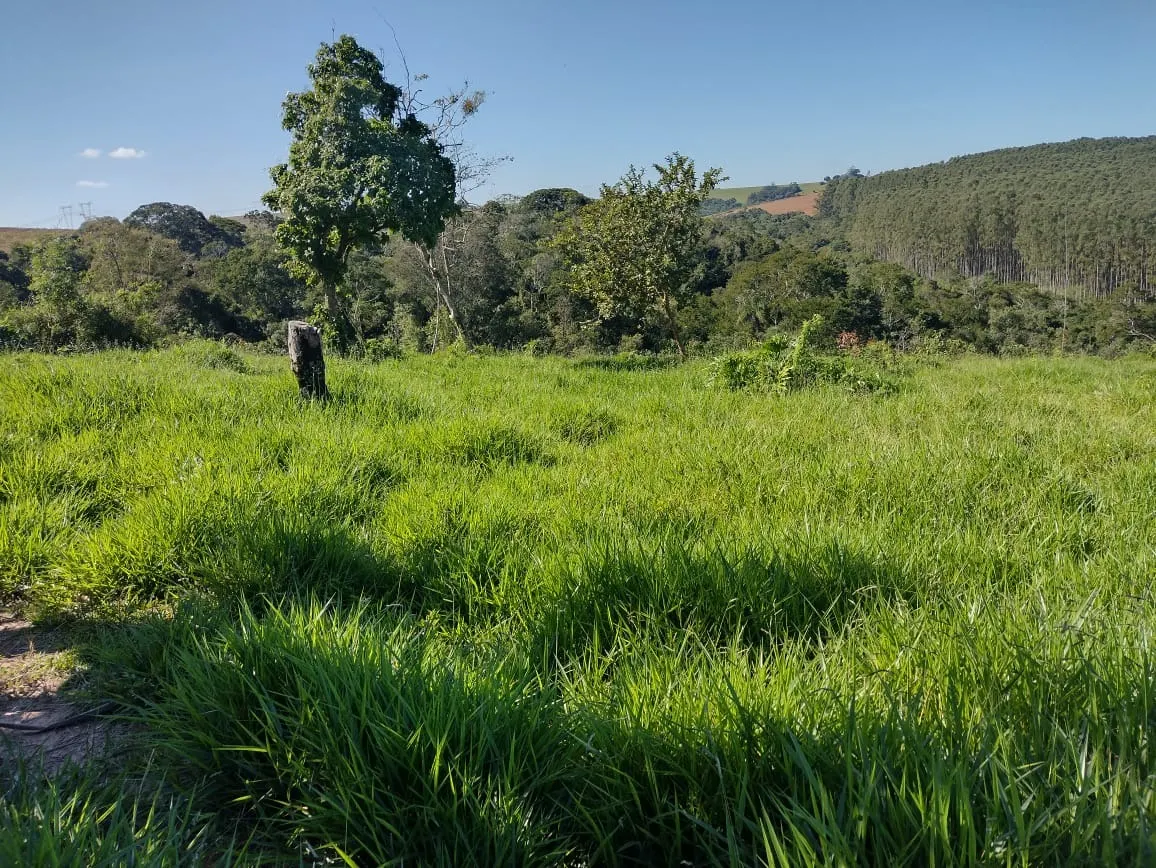 Sítio à venda de 12 ha em Itapetininga, SP, Brasil
