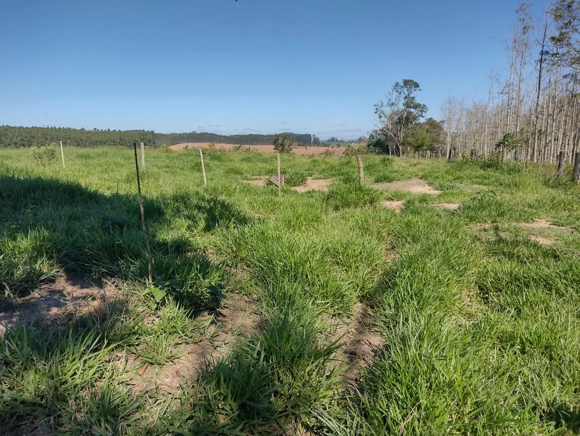 Sítio à venda de 12 ha em Itapetininga, SP, Brasil