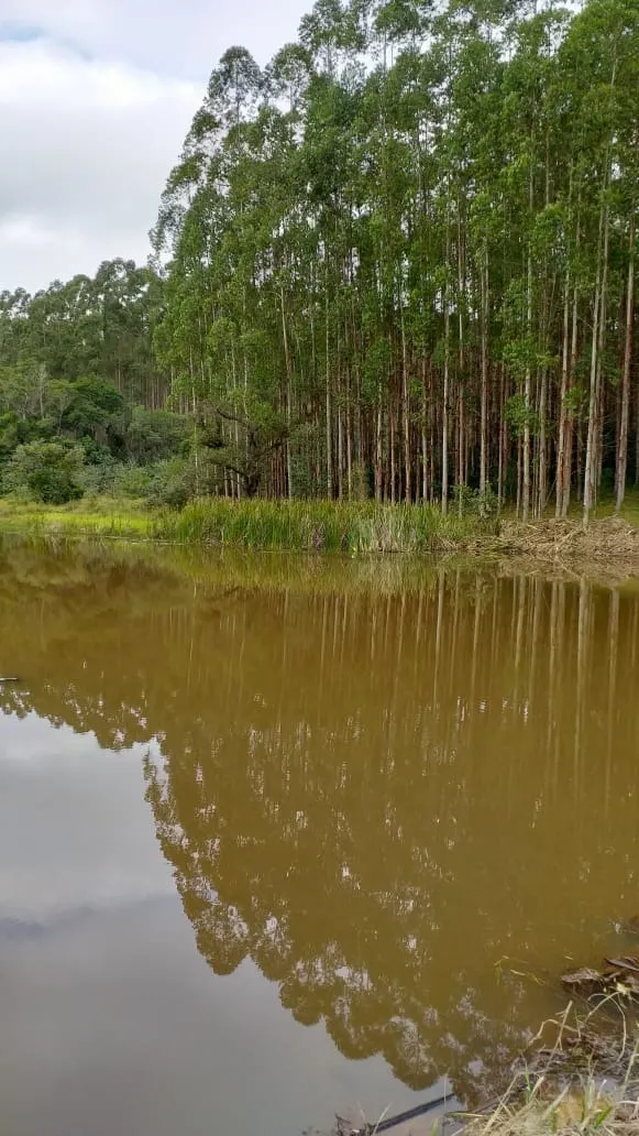Sítio à venda de 12 ha em Itapetininga, SP, Brasil