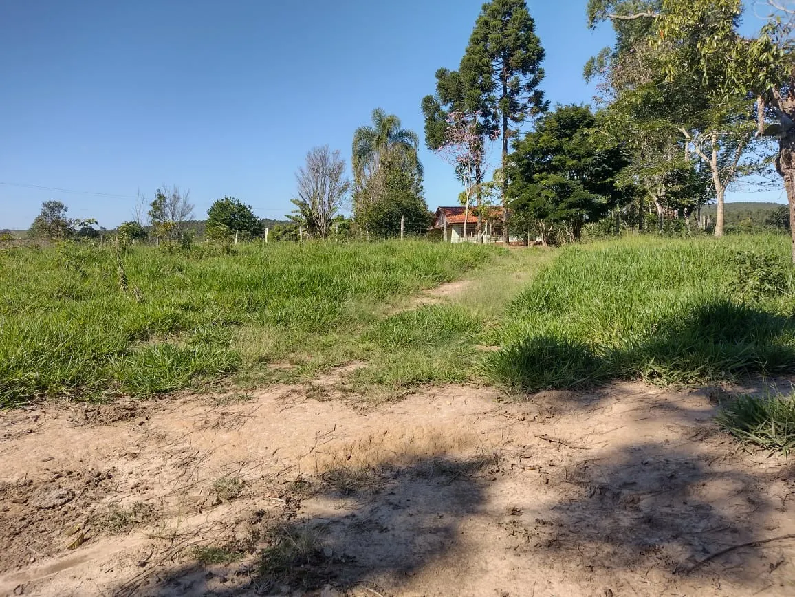 Sítio à venda de 12 ha em Itapetininga, SP, Brasil