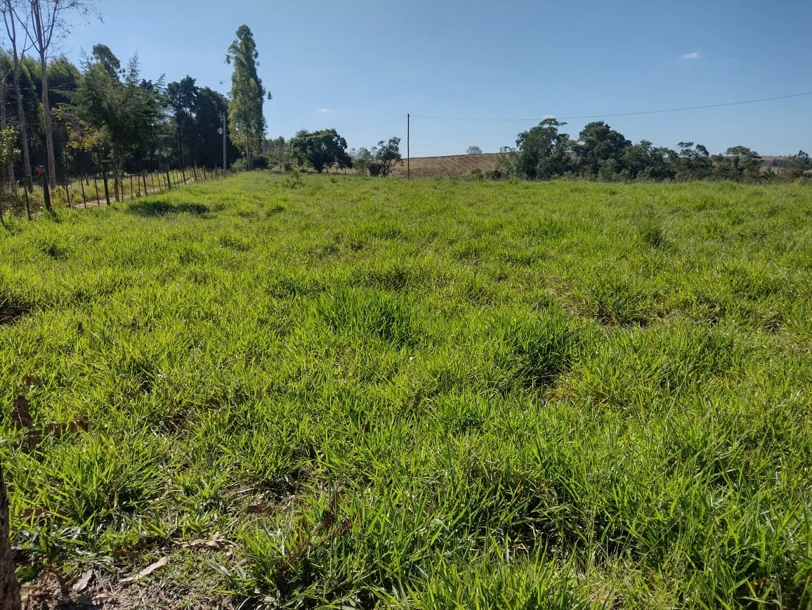 Sítio à venda de 12 ha em Itapetininga, SP, Brasil