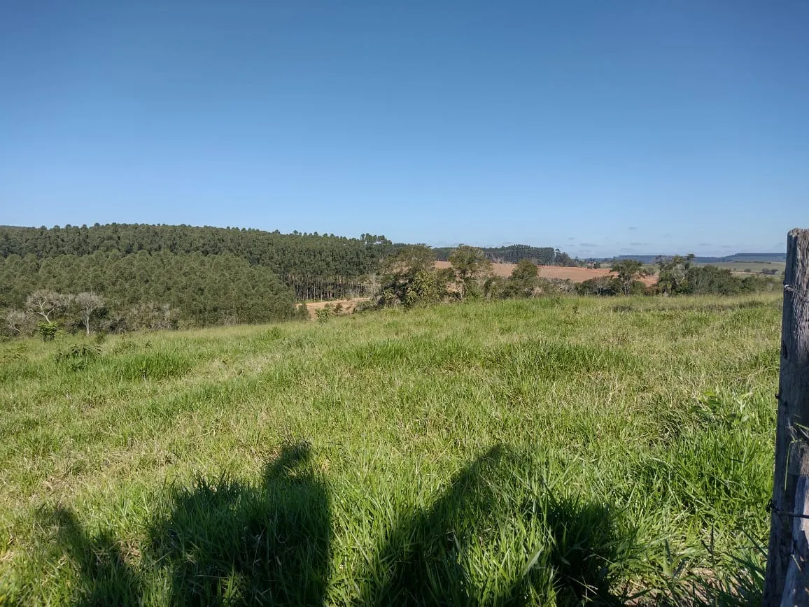 Sítio à venda de 12 ha em Itapetininga, SP, Brasil