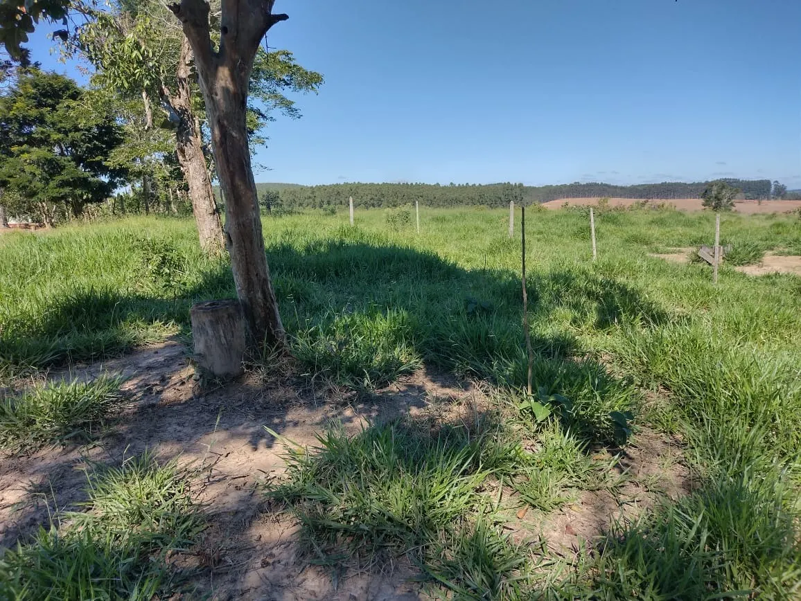 Sítio à venda de 12 ha em Itapetininga, SP, Brasil