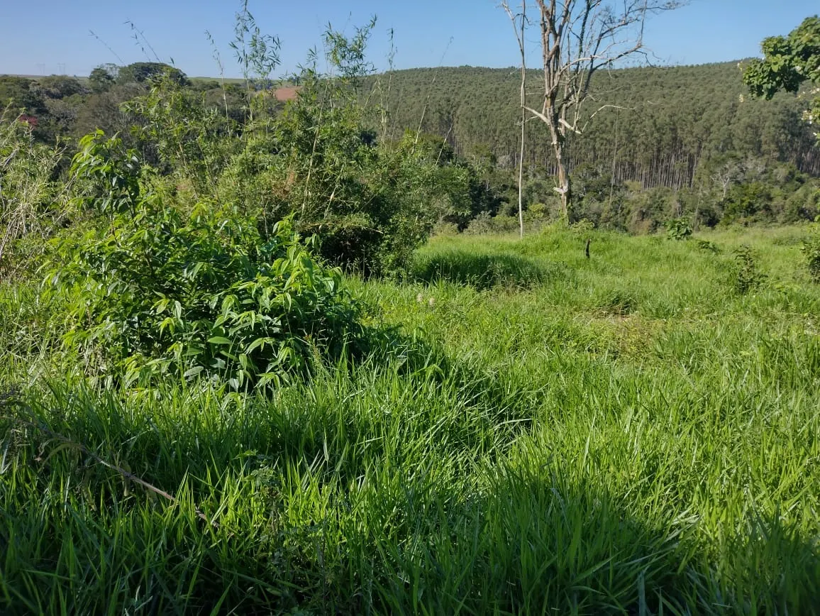Sítio à venda de 12 ha em Itapetininga, SP, Brasil