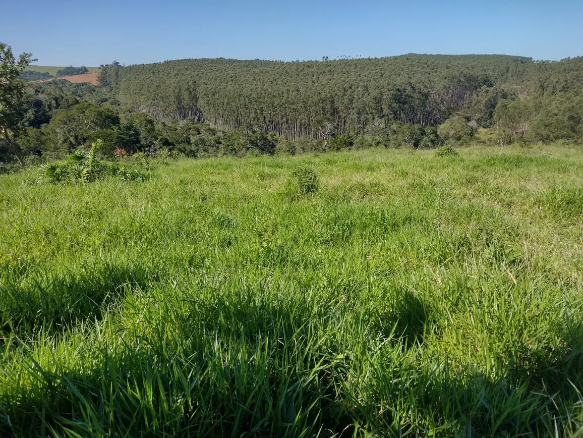 Sítio à venda de 12 ha em Itapetininga, SP, Brasil