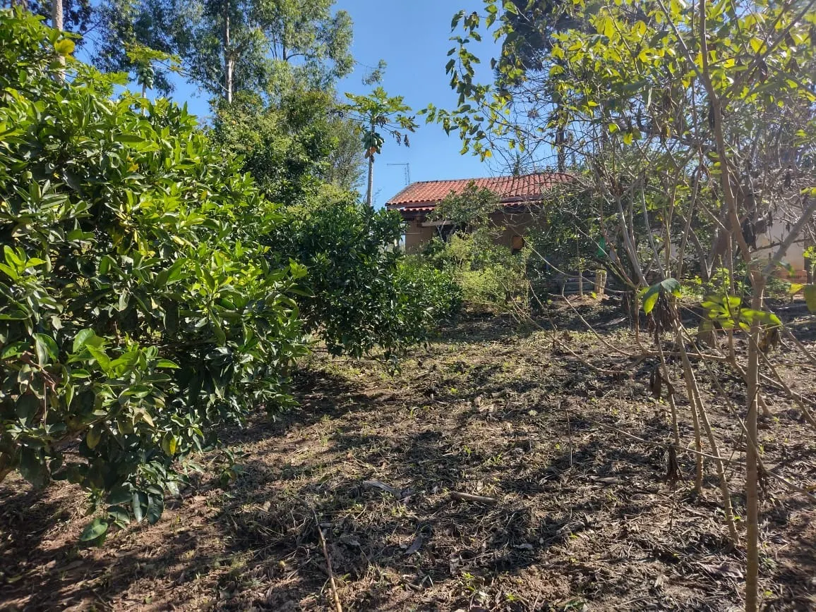 Sítio à venda de 12 ha em Itapetininga, SP, Brasil