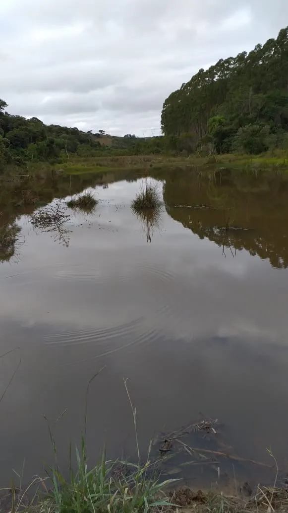 Sítio à venda de 12 ha em Itapetininga, SP, Brasil