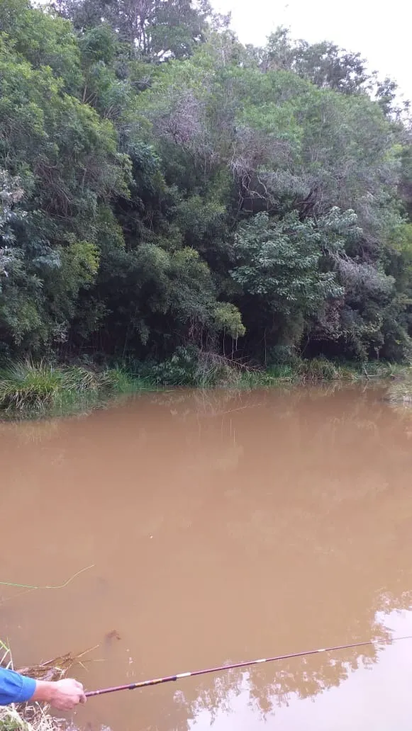 Sítio à venda de 12 ha em Itapetininga, SP, Brasil