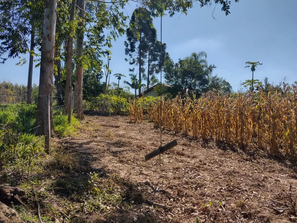 Sítio à venda de 12 ha em Itapetininga, SP, Brasil