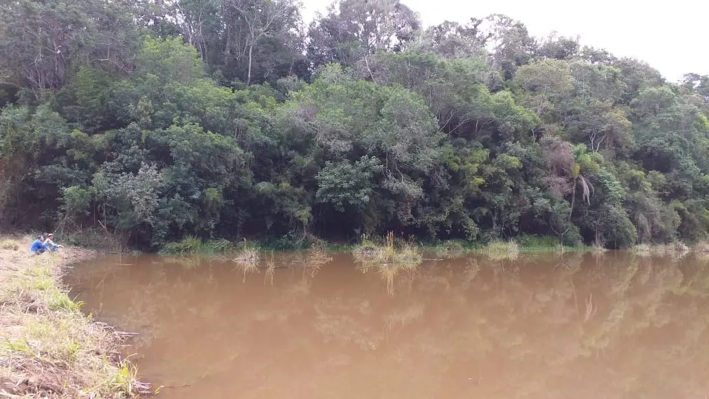Sítio à venda de 12 ha em Itapetininga, SP, Brasil