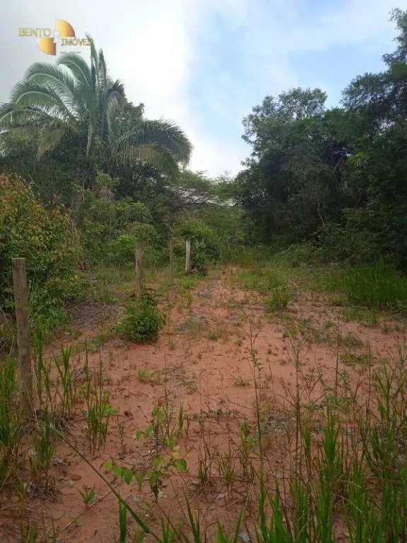 Fazenda à venda de 1.153 ha em Araguaína, TO, Brasil