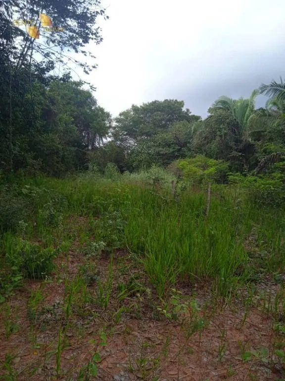 Fazenda à venda de 1.153 ha em Araguaína, TO, Brasil
