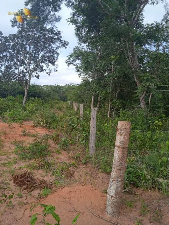 Fazenda à venda de 1.153 ha em Araguaína, TO, Brasil