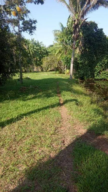 Fazenda à venda de 1.153 ha em Araguaína, TO, Brasil