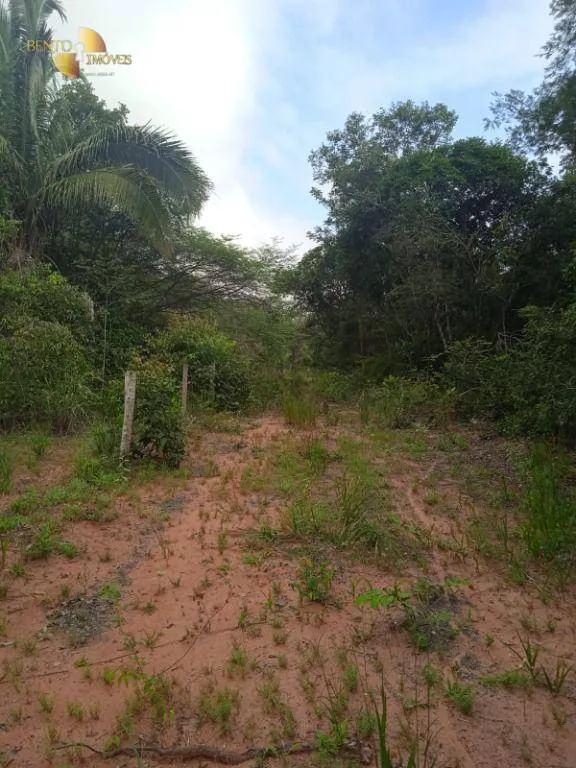 Fazenda à venda de 1.153 ha em Araguaína, TO, Brasil