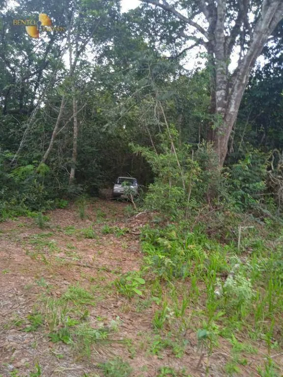 Fazenda à venda de 1.153 ha em Araguaína, TO, Brasil
